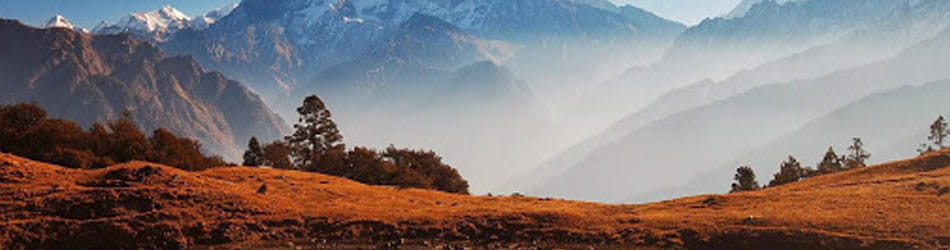 Sikkim Taxi Service Sikkim Taxi Service