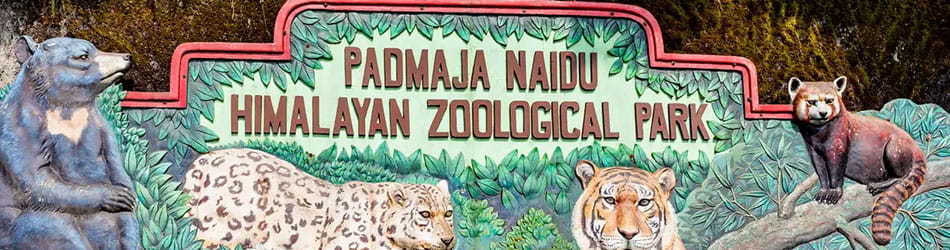 Padmaja Naidu Himalayan Zoological Park